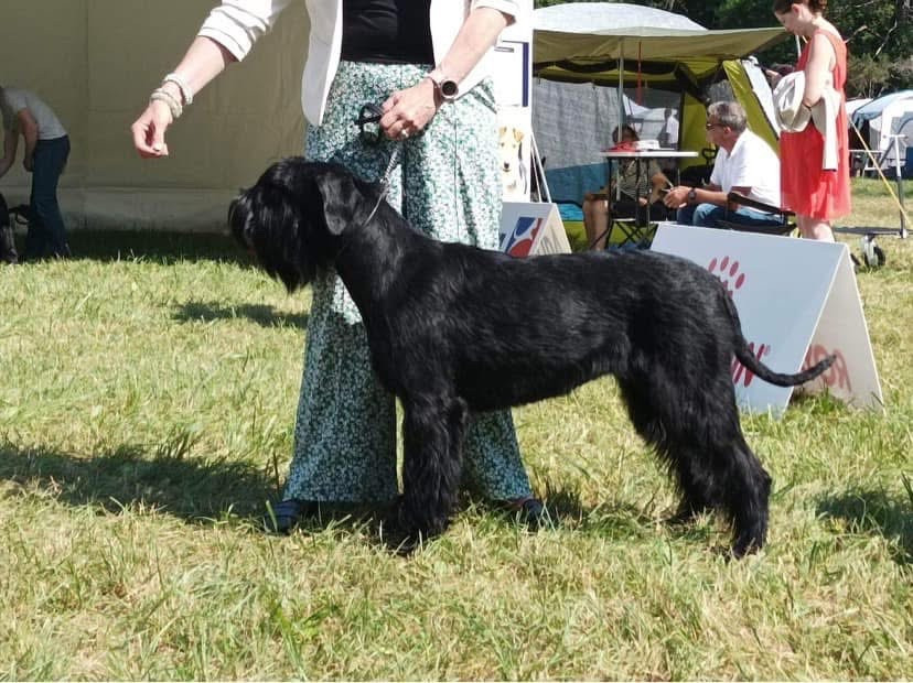 Raymonde De Saint Pierre La Celle